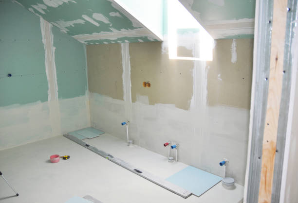 Best Mold-Related Health Consultation  in Ridgefield Park, NJ