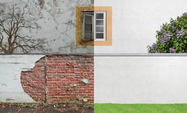 Best Post-Construction Mold Inspection  in Ridgefield Park, NJ
