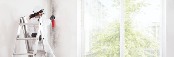 Best Forensic Mold Investigation  in Ridgefield Park, NJ
